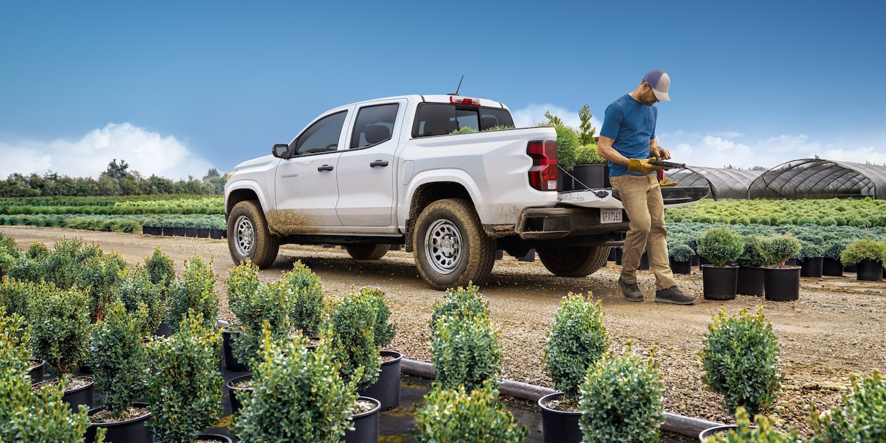 Un homme se penche sur la caisse d’un Chevrolet Colorado 2025 commercial stationné à une pépinière.