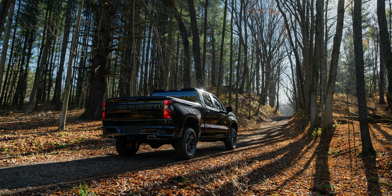 Back shot of silverado in the woods