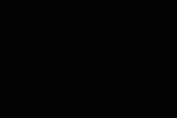 BLACK†