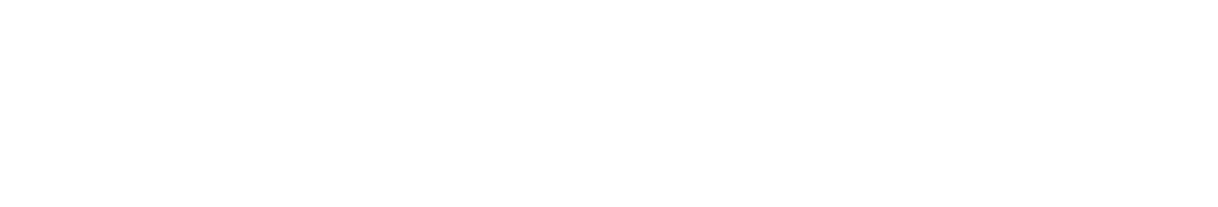 Corvette E-Ray Logo