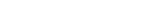 Corvette E-Ray Logo