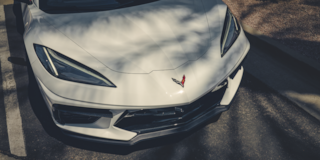 Close up shot of the hood on an Arctic White Stingray
