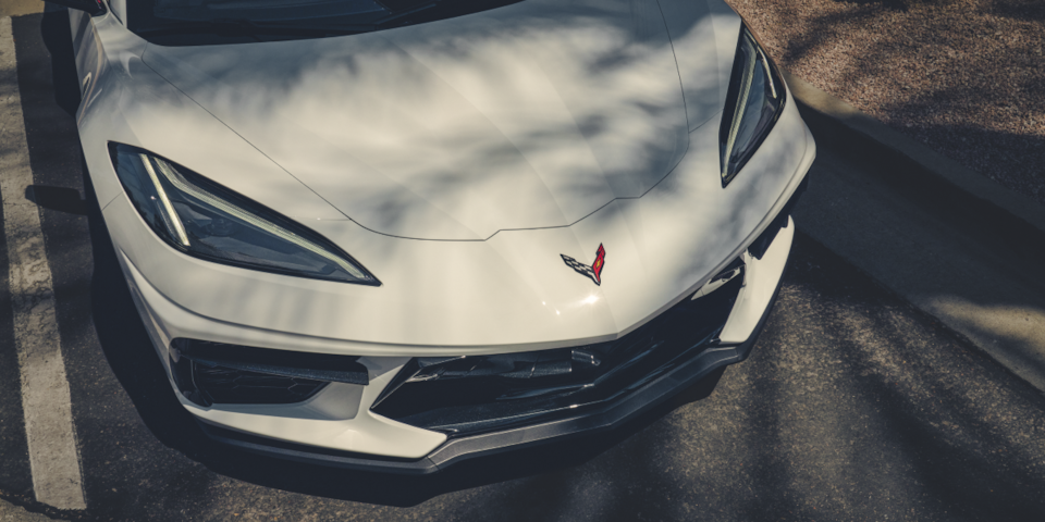 Close up shot of the hood on an Arctic White Stingray