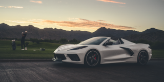 Arctic White Stingray Golf