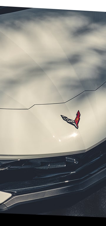 Arctic White Stingray Hood